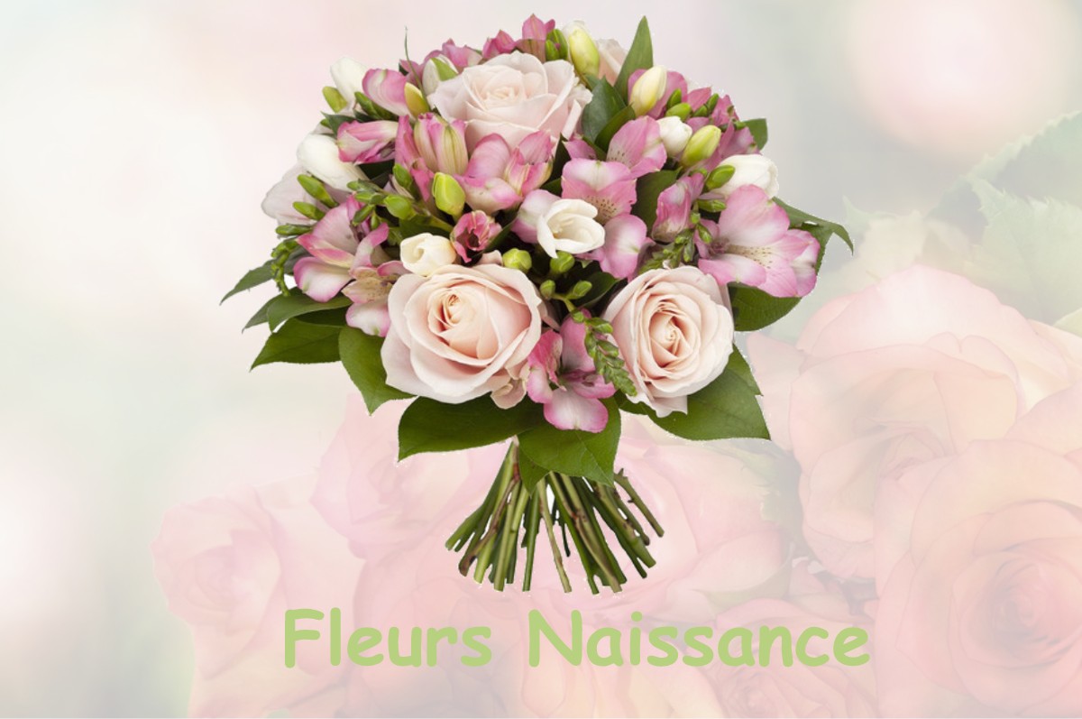 fleurs naissance PUNTOUS