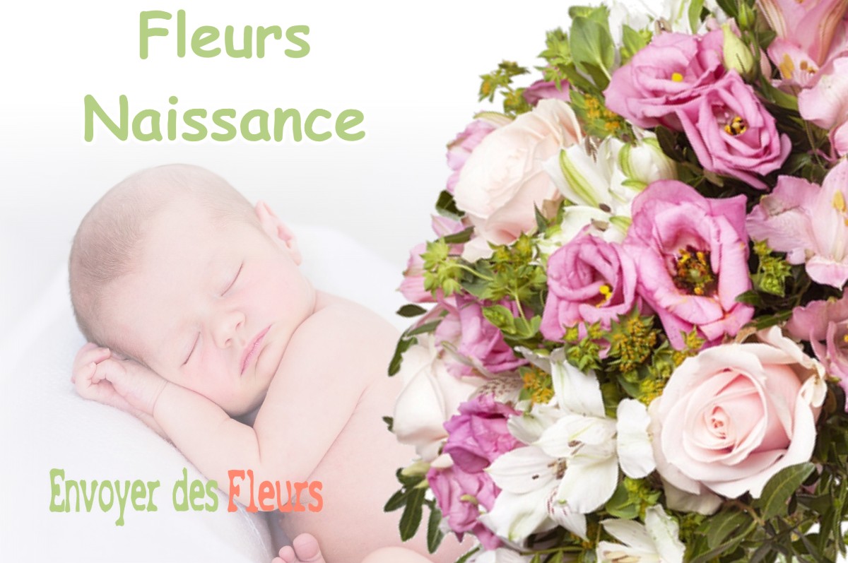 lIVRAISON FLEURS NAISSANCE à PUNTOUS